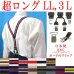 画像1: 【受注生産品】返品不可 超ロング 大きめ 日本製 25ｍｍ Y型 サスペンダー 背革 BWC（ガード付） ストライプ (1)