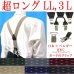 画像1: 【受注生産品】返品不可 超ロング 大きめ 日本縫製 35ｍｍ Y型 サスペンダー 背革 BWC（ガード付） ゲバルト クレストピン (1)