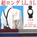 画像1: 【受注生産品】返品不可 超ロング 大きめ 日本製 25ｍｍ Y型 サスペンダー 背革 七々子 カシメ ボタン式 ピンドット (1)