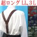 画像1: 【受注生産品】返品不可 超ロング 大きめ 日本縫製 35mm Y型 サスペンダー 背合皮 NC ゲバルト ペイズリー (1)