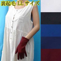 日本製　婦人　ナイロン手袋　中長　裏起毛　無地　LLサイズ