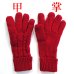 画像2: 中国製 レディース 婦人 ニット手袋 二重手 ケーブル編み (2)