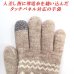 画像4: 台湾製　レディース　ニット手袋　タッチパネル対応　二重手袋　インナーボア　スヌーピー　SN4100123　雪柄