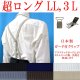 画像: 【受注生産品】 返品不可 日本製 20ｍｍ X型 サスペンダー GC（ガード付） 博多織調 マンボ無地